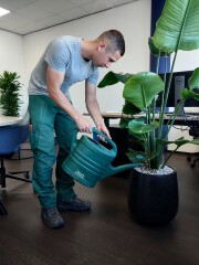 baq ptmd planten planten kantoor binnenplant binnenpot interieur pot plantenbakken plantenbakken kantooor bedrijfsplanten kantoor planten bedrijfspand planten korrels watermeter potten plantenbak kantoor onderhoud snoeien watergeven watergeven interieur