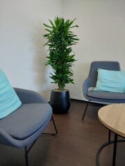 baq ptmd planten planten kantoor binnenplant binnenpot interieur pot plantenbakken plantenbakken kantooor bedrijfsplanten kantoor planten bedrijfspand planten korrels watermeter potten plantenbak kantoor