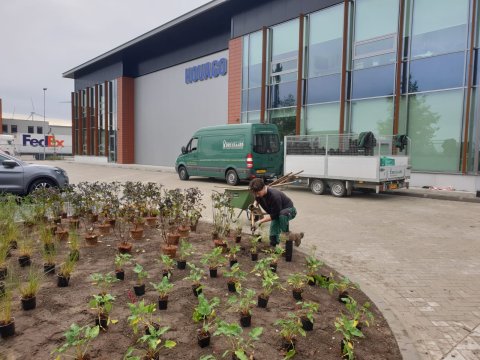 beplanting bedrijfstuin planten nieuw border bestrating
