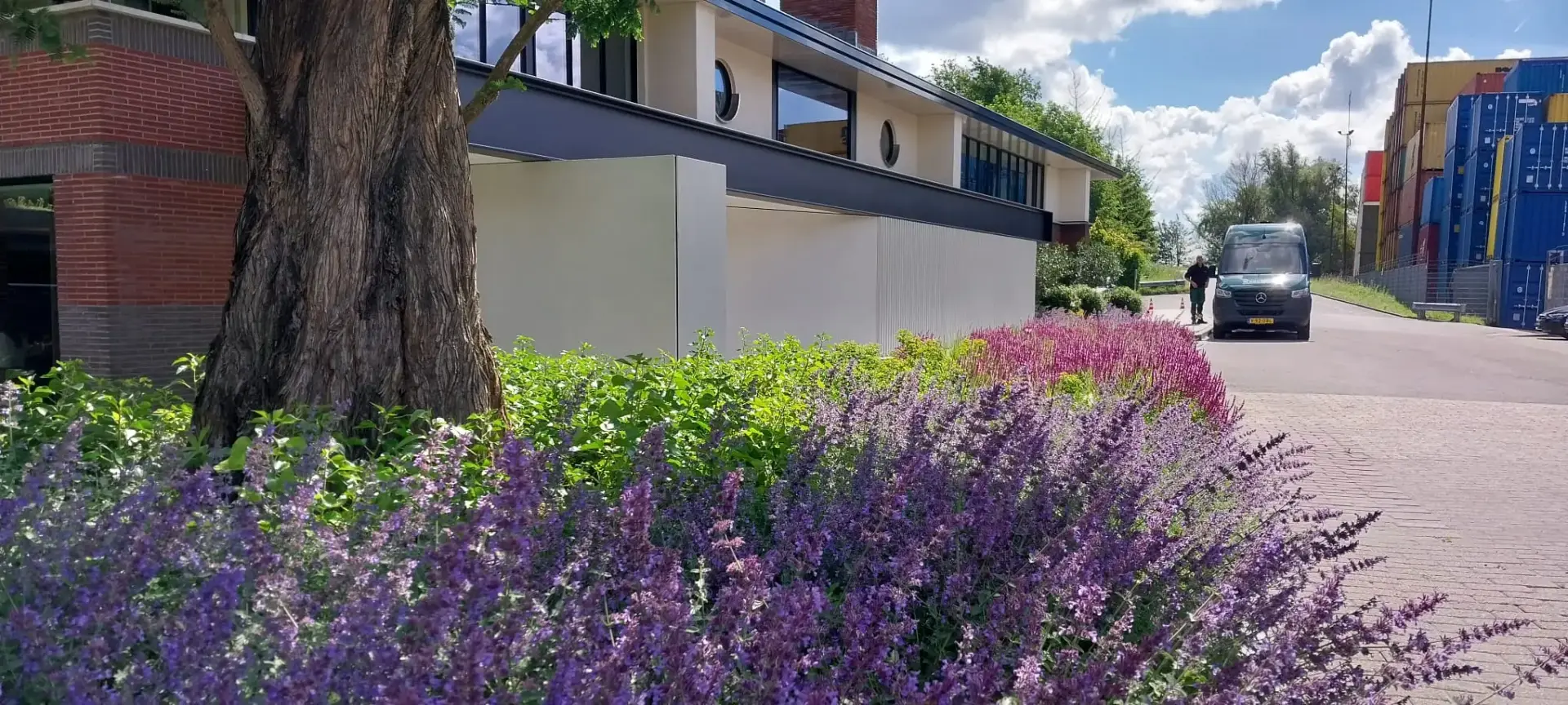 Caru onderhoud tuin tuin heg soeien planten inplanten border beplanting inplanten bomenplanten struiken inplanten planten planten nieuwe tuin