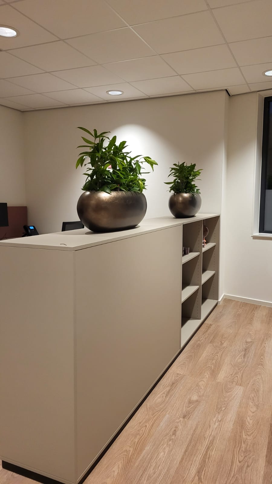 hydroplanten interieur hydrobeplanting interieurplanten kantooorplanten receptie binnenplant binnenpot interieur pot plantenbakken plantenbakken kantooor bedrijfsplanten kantoor planten