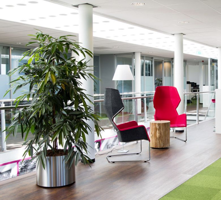 woning zoeken te koop interieurplanten planten binnenplanten