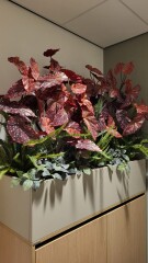 binnenplanten kantoorplanten planten interieur beplanting kantoorplant