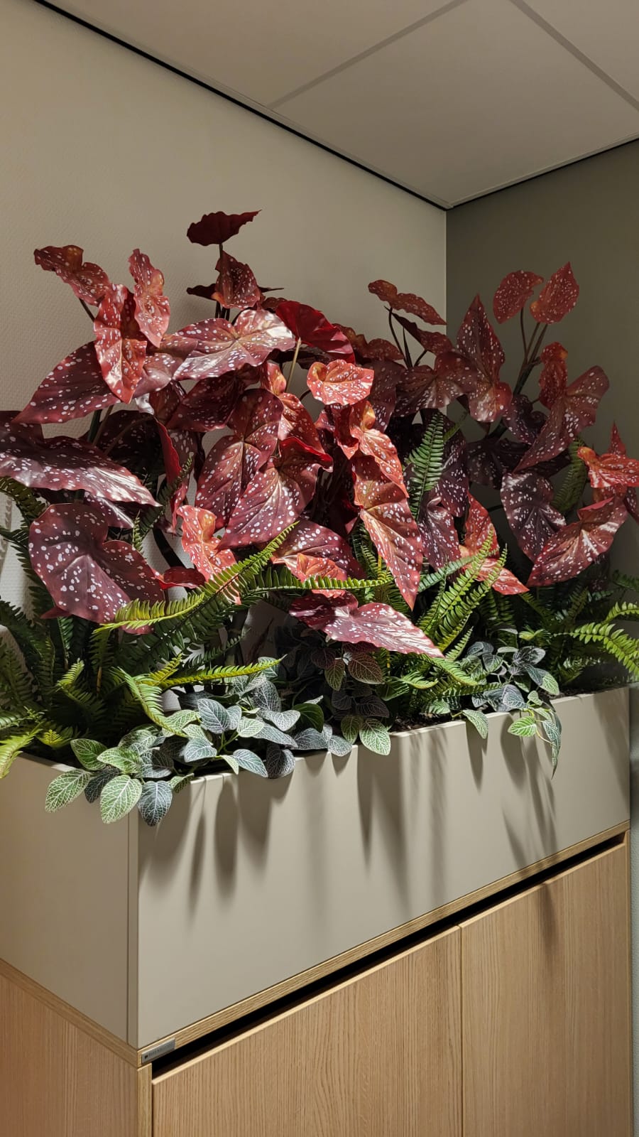 binnenplanten kantoorplanten planten interieur beplanting kantoorplant